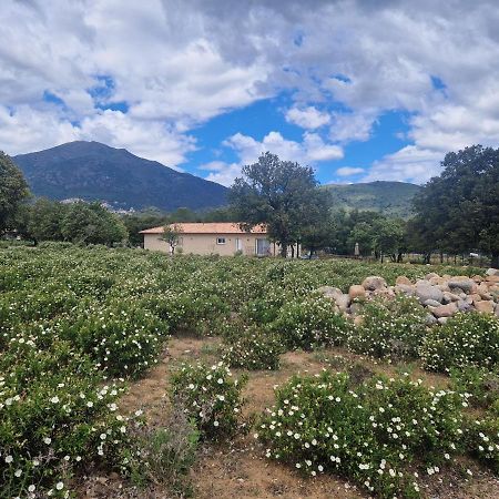 Domaine U Filanciu - Casa Ghjulia - Centru Di Corsica Villa Moltifao Exterior photo